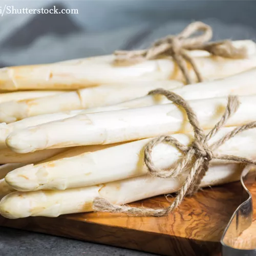 Bratspargel - Ein Genuss für den Gaumen