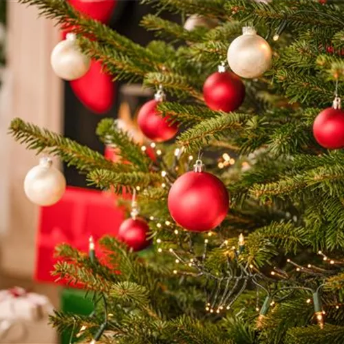 Alle Jahre wieder…