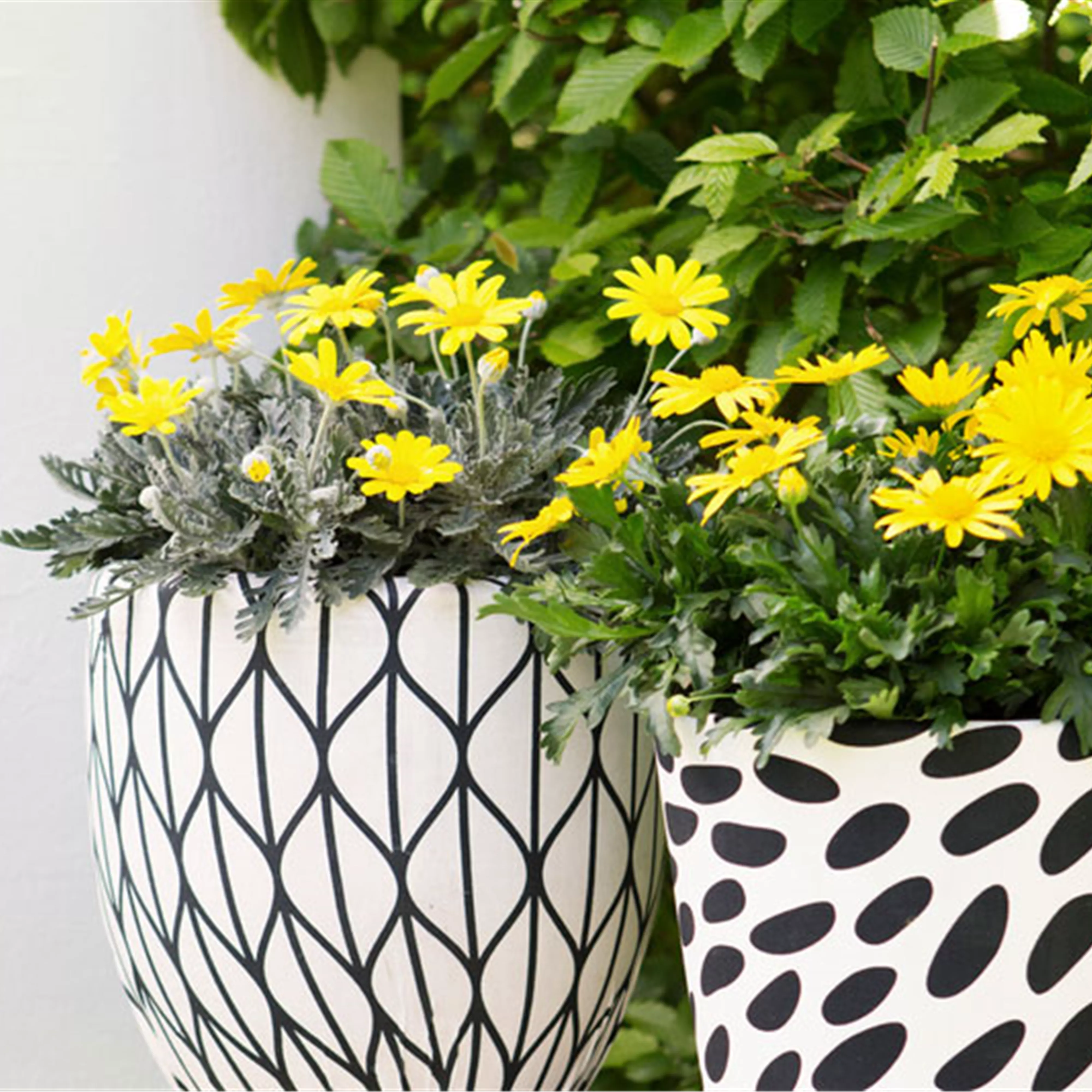 DIY-Tipp: Grafische Hingucker