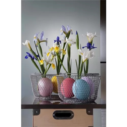 DIY-Tipp: Kleine Blüten, große Wirkung!