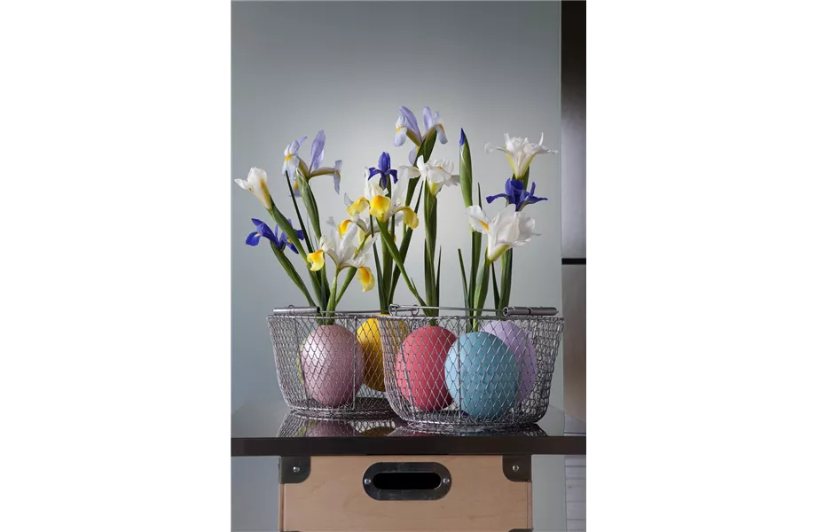 DIY-Tipp: Kleine Blüten, große Wirkung!