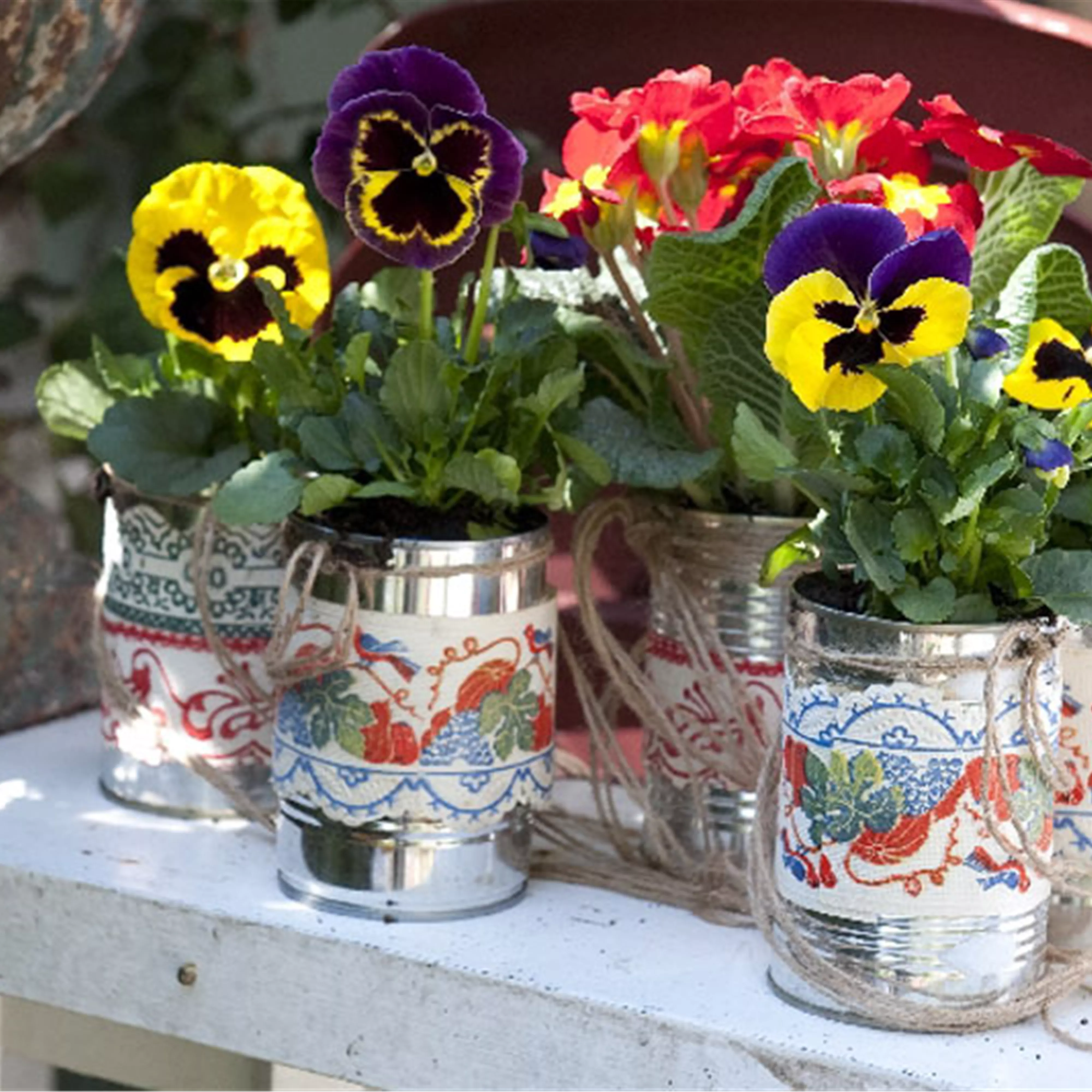 DIY-Tipp: Schwebende Veilchen