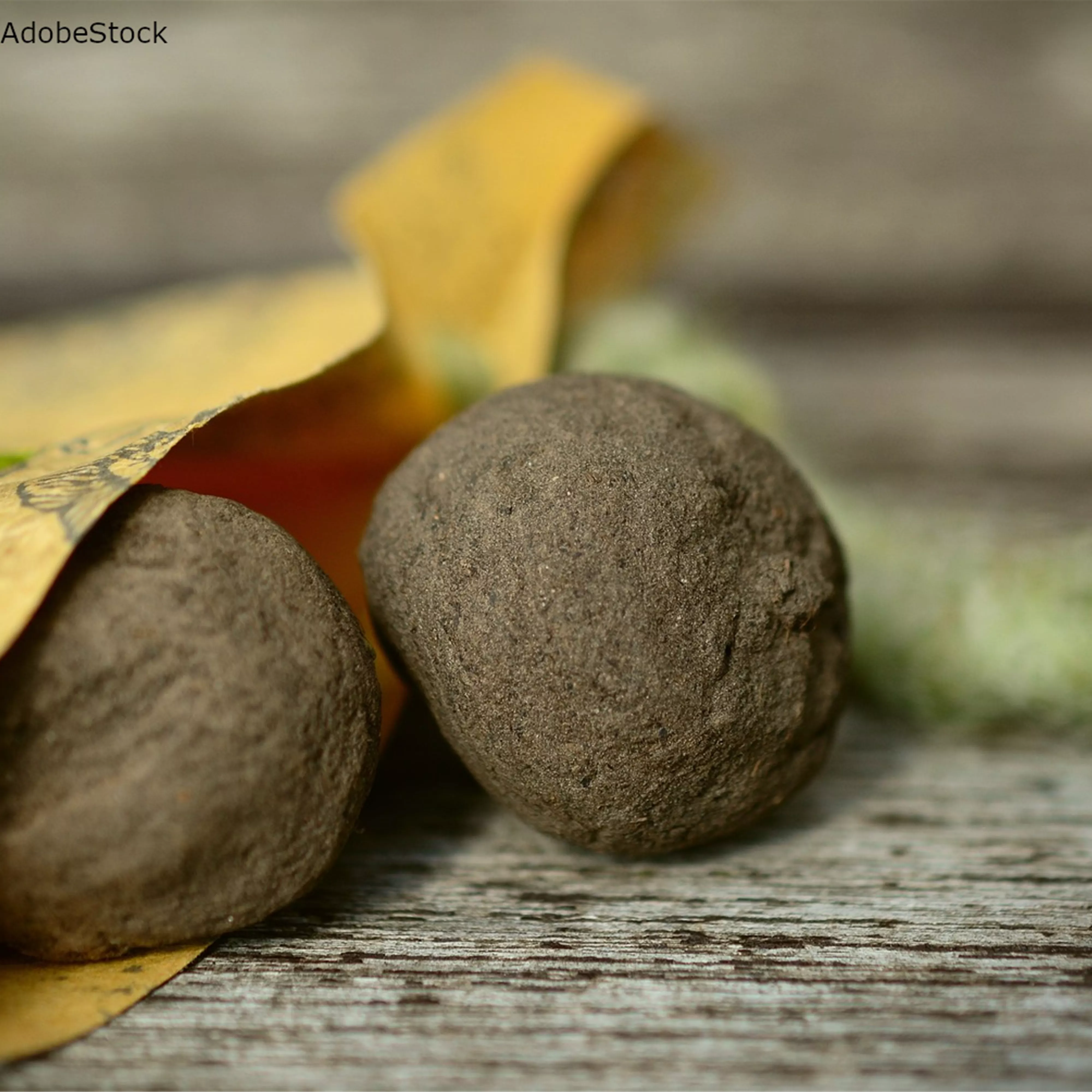 DIY-Tipp: Urban Gardening