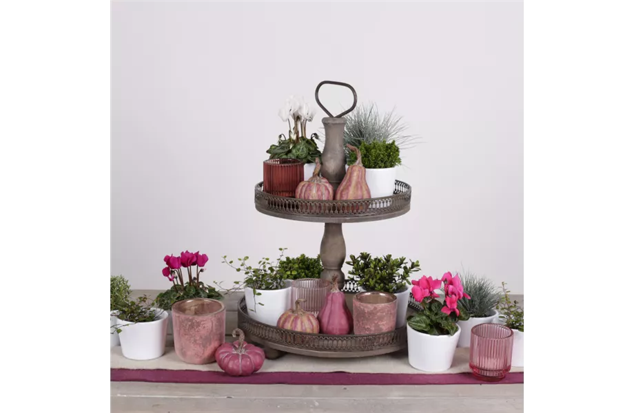 Etagere herbstlich dekorieren