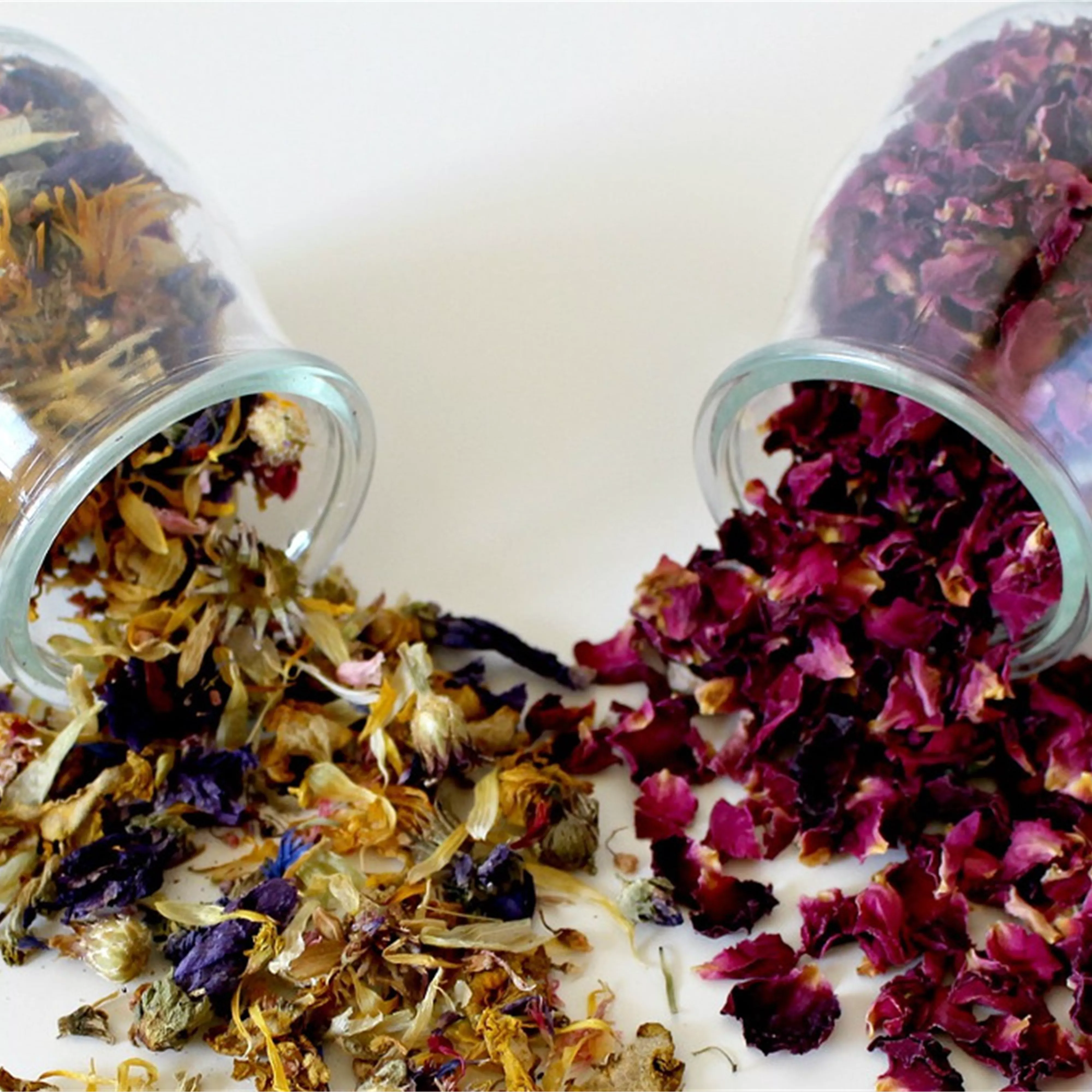 So geht’s! Blumen trocknen