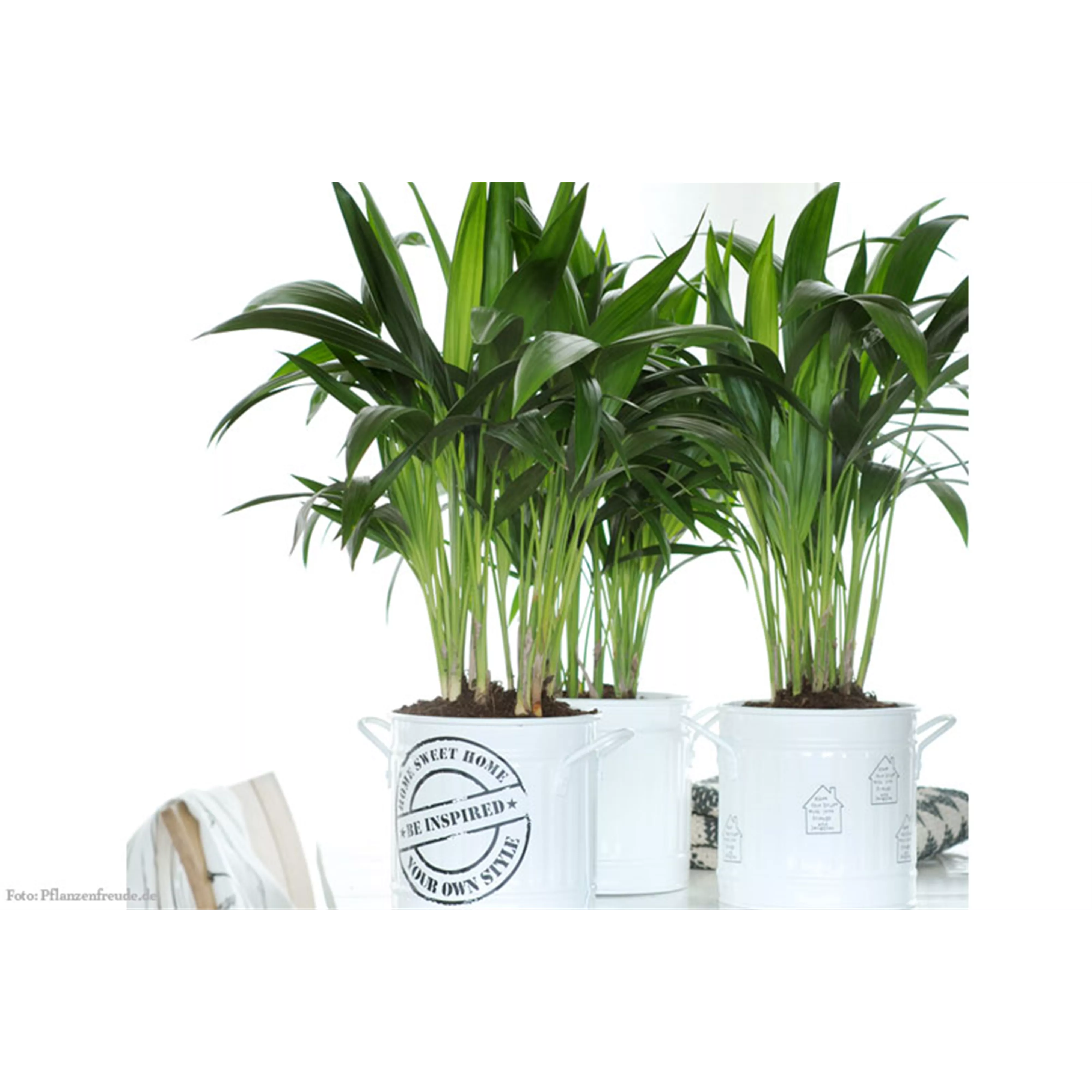 Mobile Druckerei für Pflanzgefäße