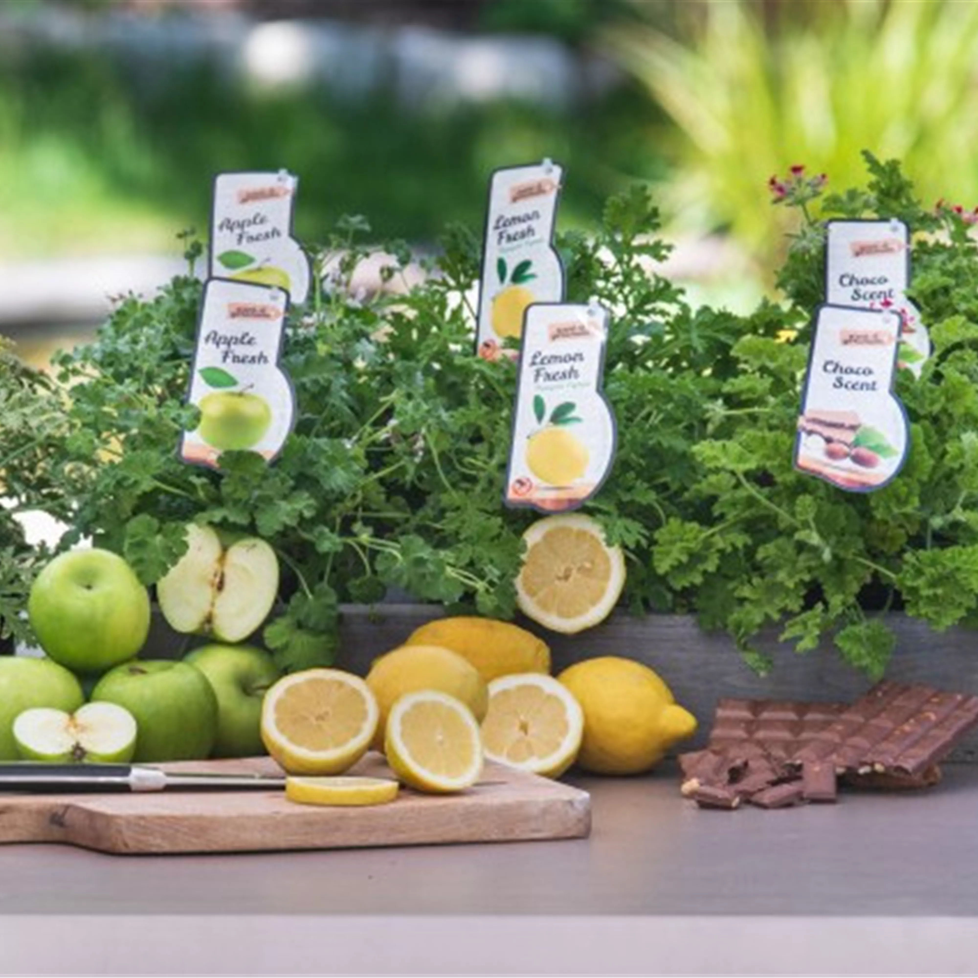 Welche Düfte sind die richtigen? Frische Düfte.