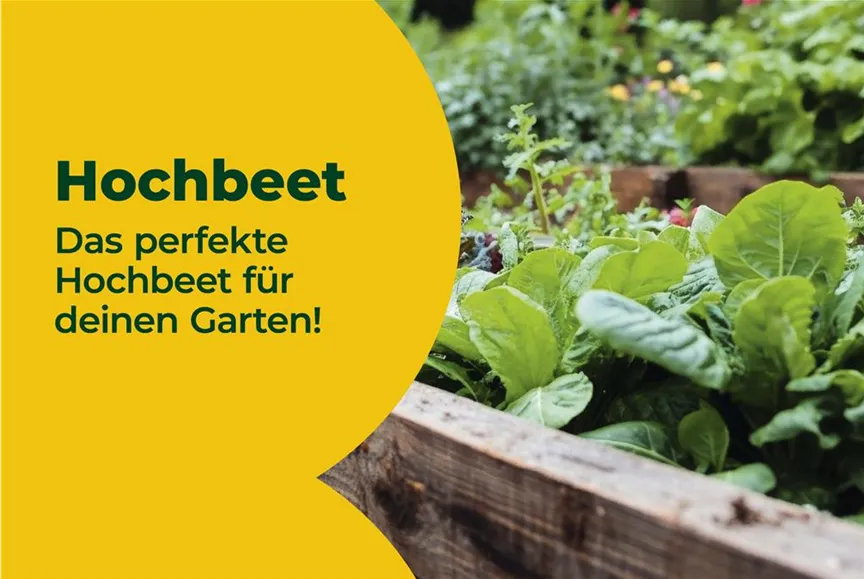 VKF_3-26_Hochbeet_MyShop_1920x1080px-2.jpg