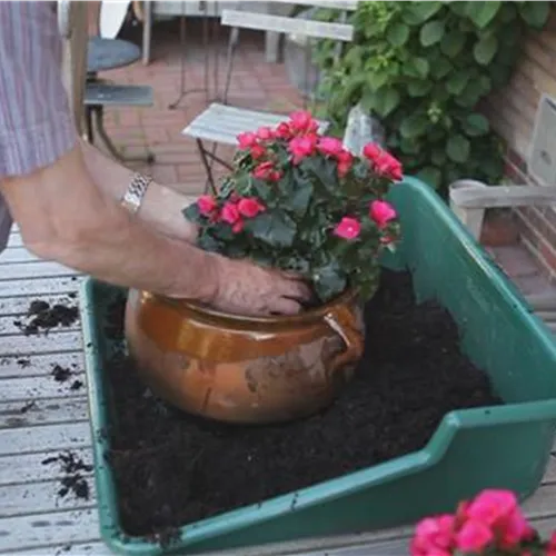 Blumenkübel - Bepflanzen mit mehreren Sommerblumen